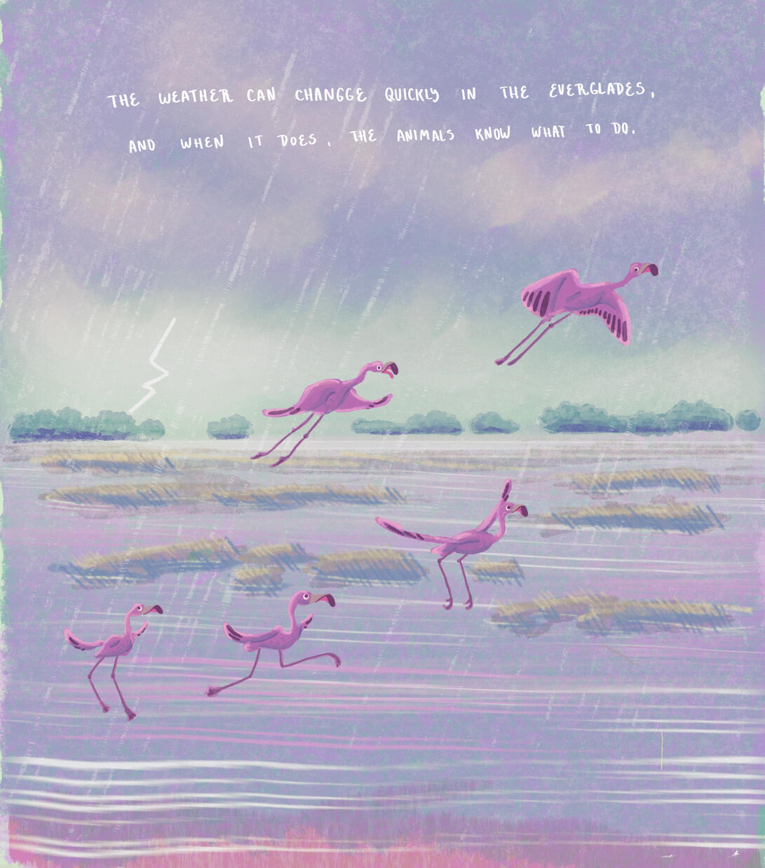 Flamingoes Flamingoes